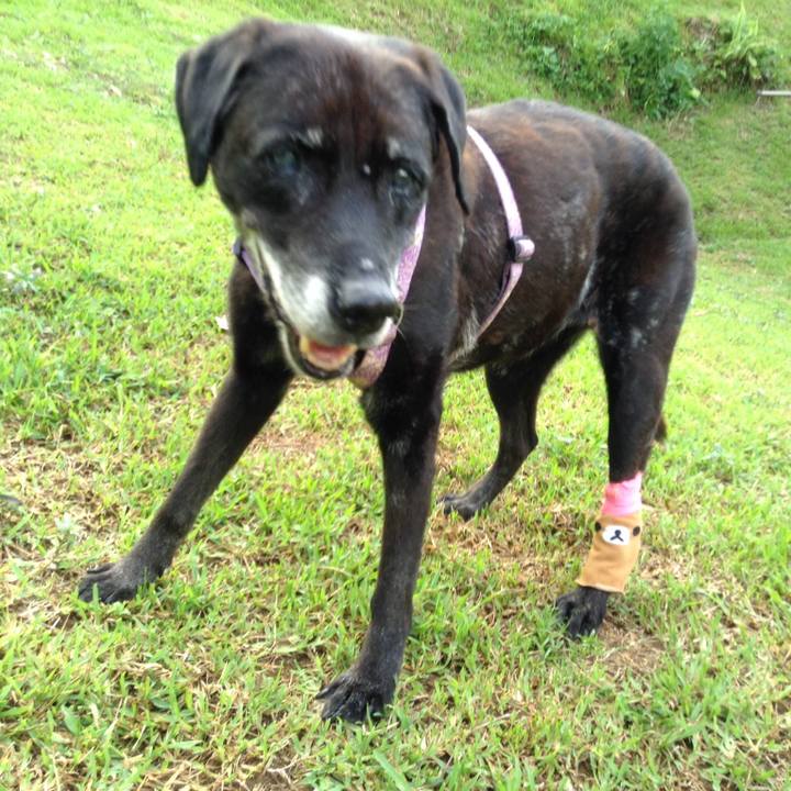 4e3ea857 05a2 41a2 8530 deeb395ecb69