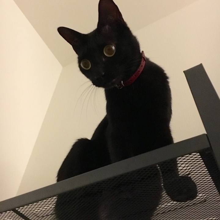 4e3f20ac d4db 497e 8dd6 e518bdb1dc97