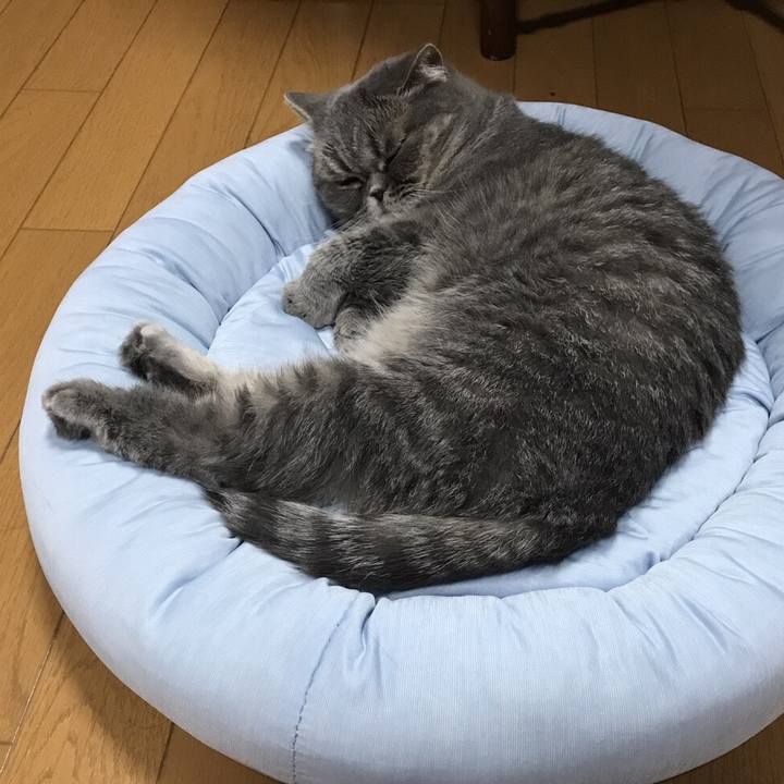 4e3f6c10 44ec 498a 938a 8e1224899c11