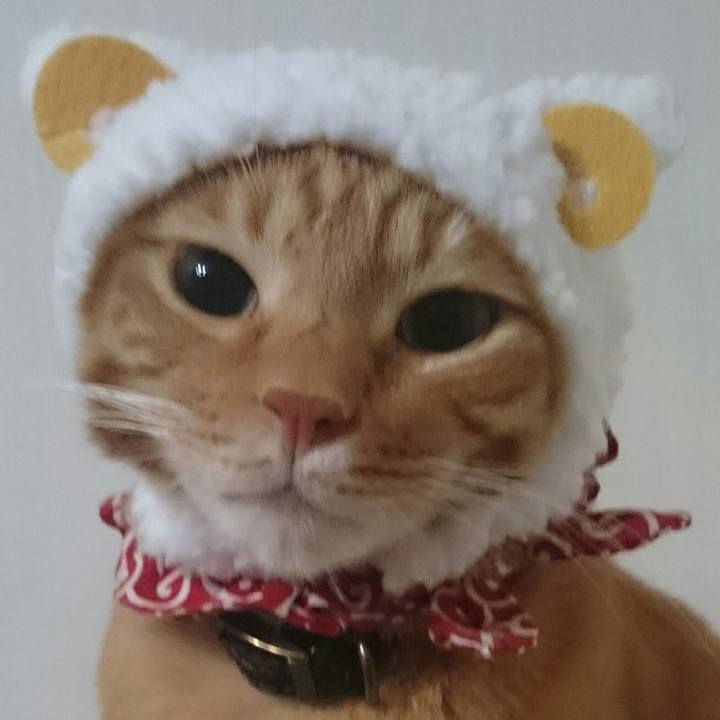 4e4065c3 73d9 4993 b4bc 7bb6894cfcfd