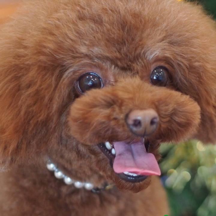 4e41ccac 9934 4be0 b9fa 1cd8aa7cc1cf