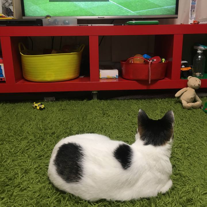 4e41d14c 8b3d 4e35 a088 f15e20a3d9e1