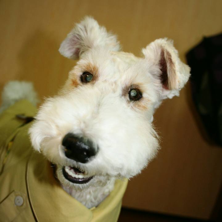 4e42cd50 03c1 40f7 a110 0c4682a66105