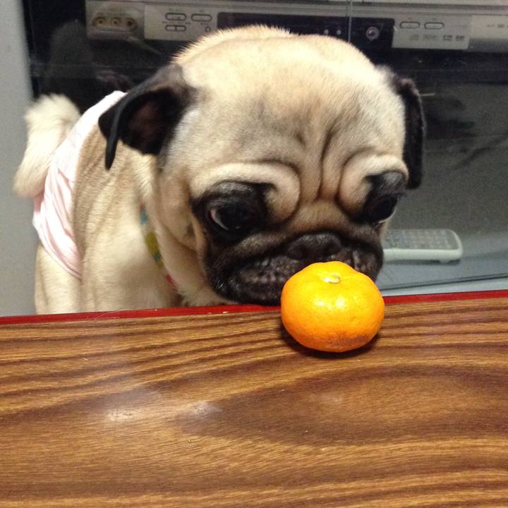 4e436f11 fa13 478d 8a80 9d4362f5543b