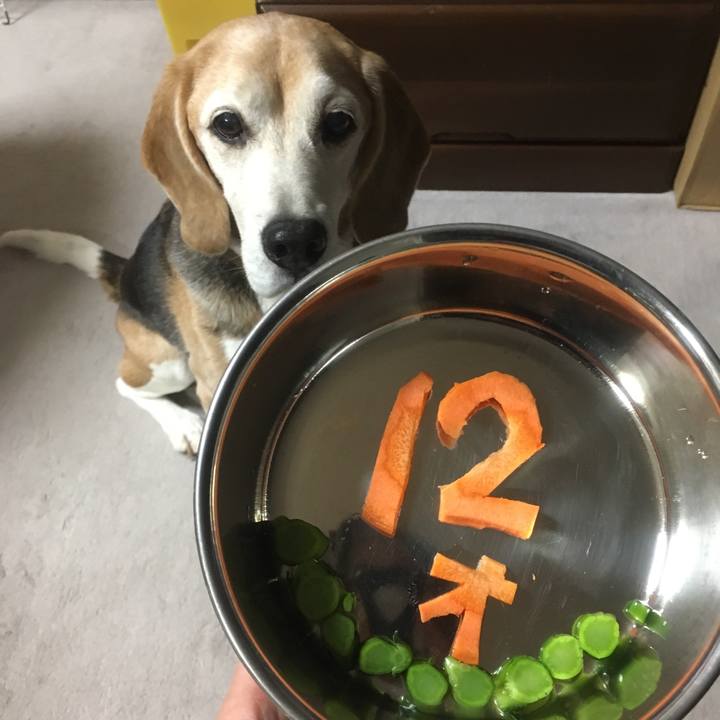 4e43fcf4 631f 4ee4 99ce 5341eb6c36a7