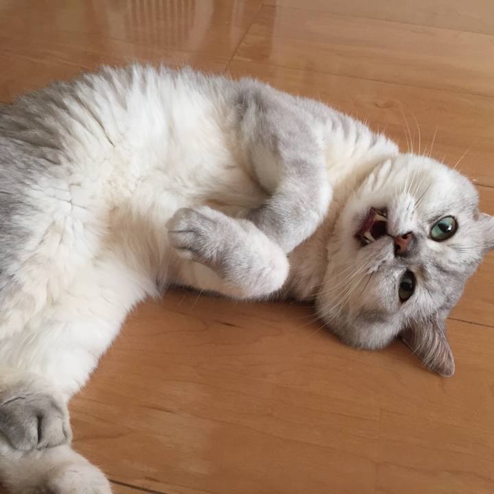 4e44023e 2e7d 48e2 9a07 dc054f3101dc