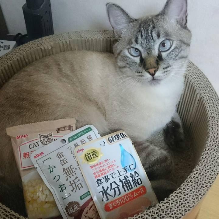 4e445858 6dfa 4f14 bc1c 2be725726c38