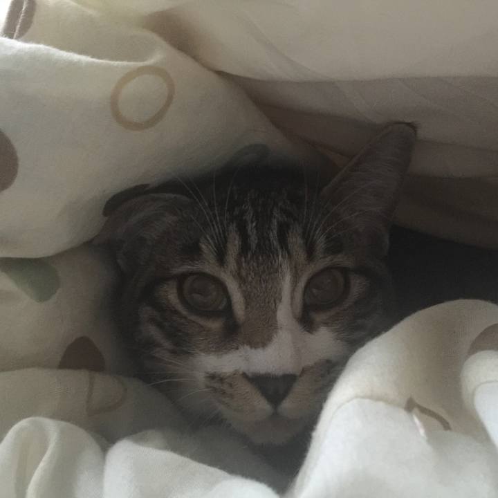 4e44c44d 39c7 4139 9cb2 8b201d219f1f