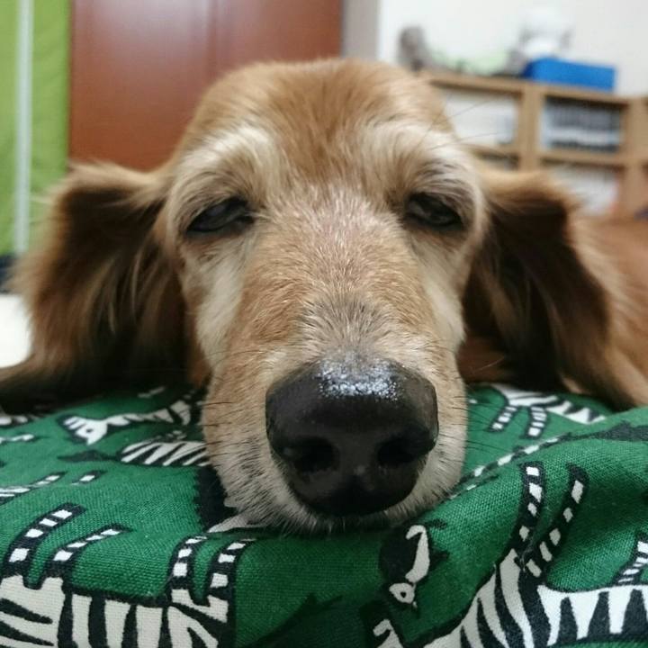 4e452203 1285 4474 96ab f111ff2749ce