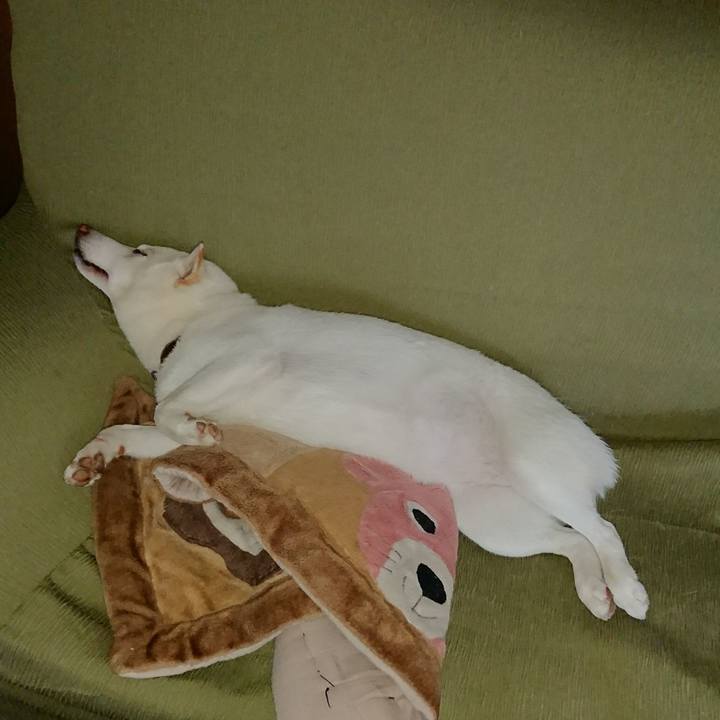 4e453195 283f 4cd5 a7f2 28ec4b15b878