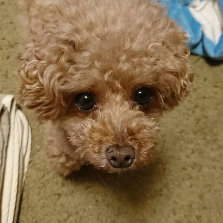 4e46485a edd7 42b8 82b3 28bad7822979