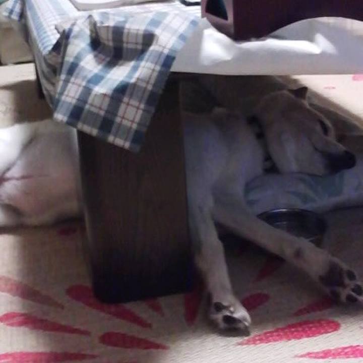 4e465013 d9bb 4499 b267 141dab979e0b