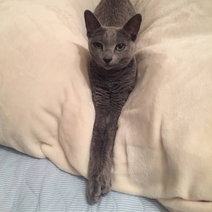 4e46bd18 101a 4263 8471 7ad04684d27e