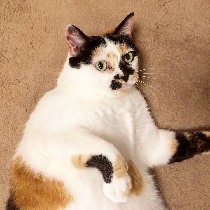 4e47a467 72ff 4f9b ae74 2296504eb6ad