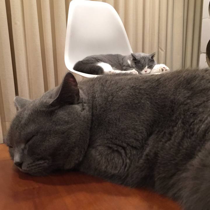 4e47a8be c73b 4bb4 9bba 3909e48178ae