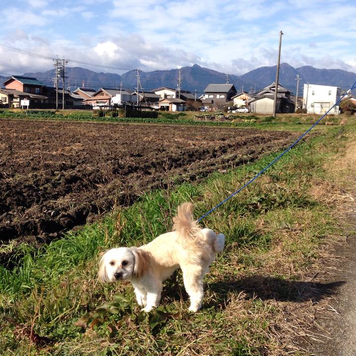 4e47f79b 9b1e 4ba1 b4ee 426d8ecb7682