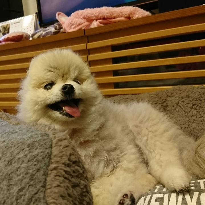 4e4816e3 7f7f 4dbd 8a9d 5db4b8c011b9