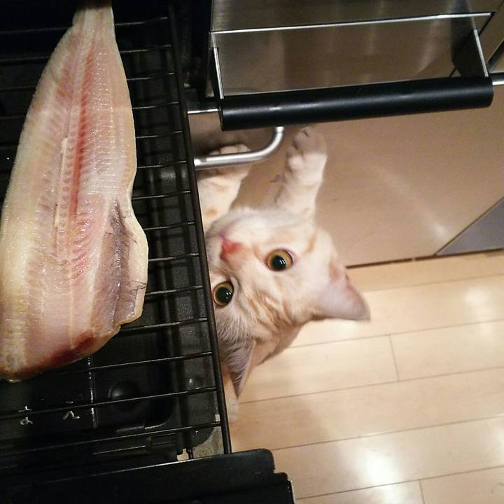 4e483139 d2b9 4731 bd92 bfc1020665fb