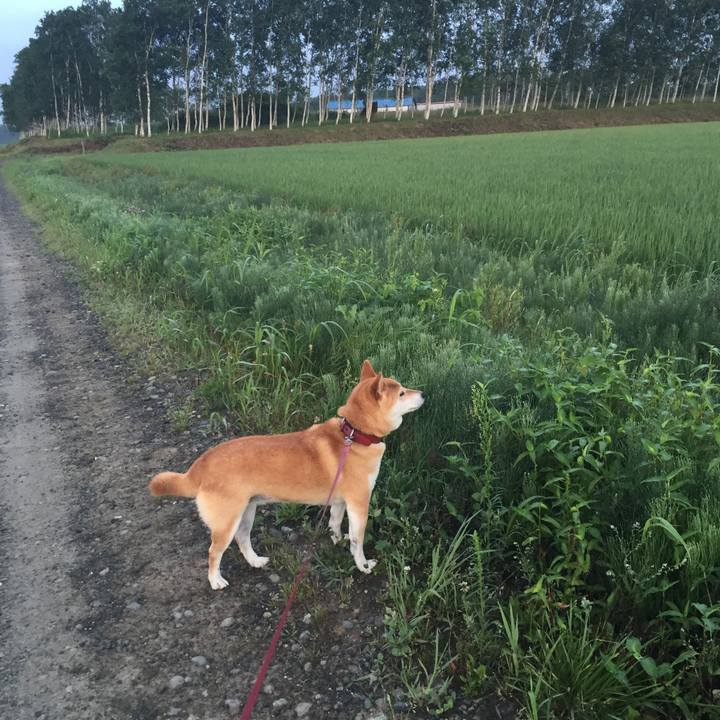 4e483bfa 4273 4f98 95ef ae91912ab28d