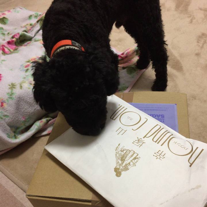 4e484704 f5d1 48e5 bb42 9f62bd9c69a9