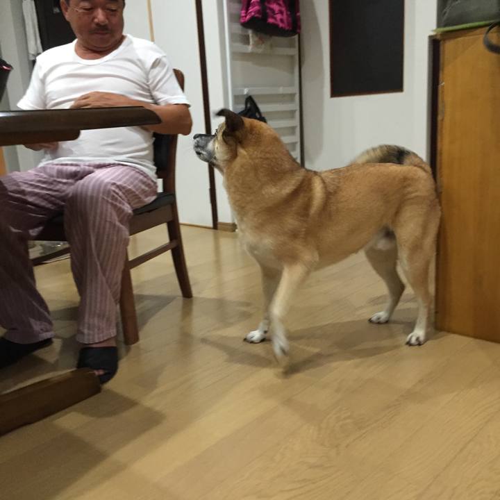 4e48af1c f429 4887 8129 377f96430307