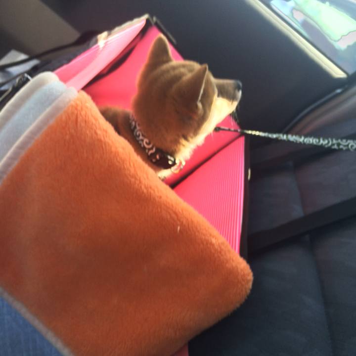 4e4906a5 68a0 41cd a704 8d61f0890ec5