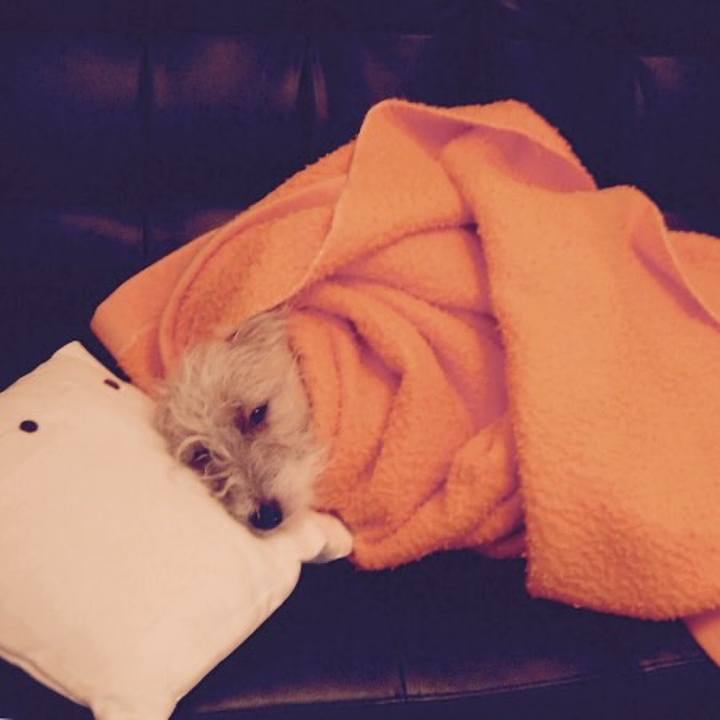 4e498c79 c15c 4028 ab83 47222bcbe342