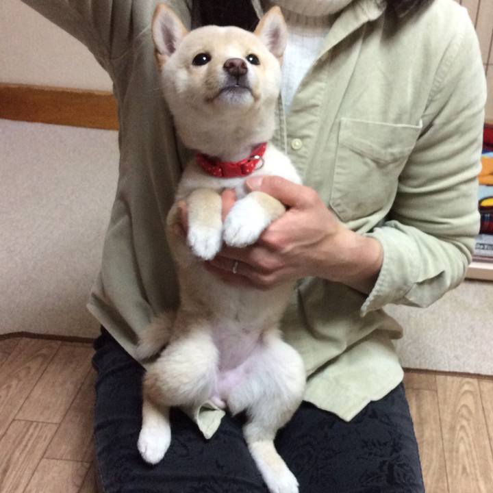 4e49eb17 1487 4a20 86a0 60d22013c82e