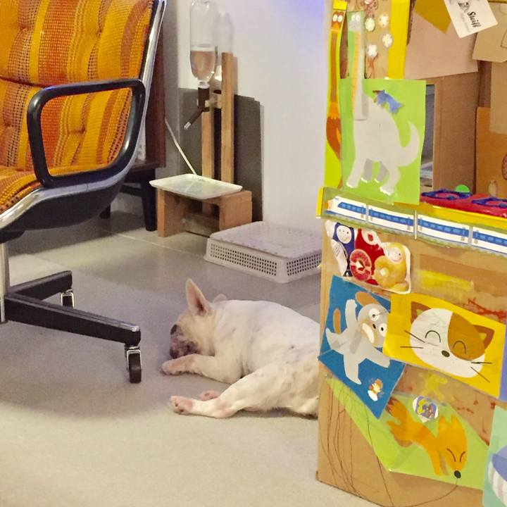 4e4a0635 0a39 4a1b a2e0 4125d8ace154