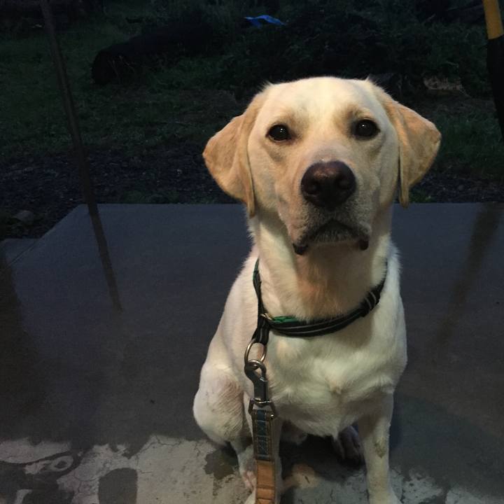 4e4aec65 c9d5 4fd6 9a34 5c815b955b27