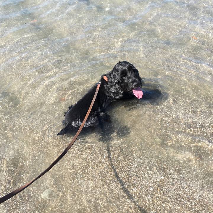 4e4c04e0 6435 486f 8a53 3d79dda67843