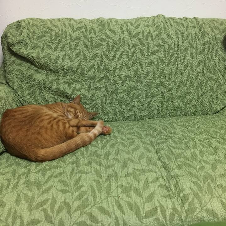 4e4c6c2a 0371 465c 9732 043bd41df9ce