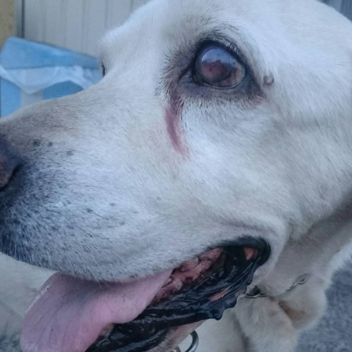 4e4cae02 b348 4116 a8d1 555351fbee0e