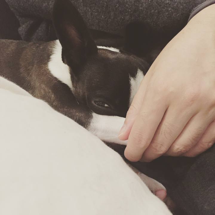 4e4cd0cf fff2 403f 9049 bd2e658e7707