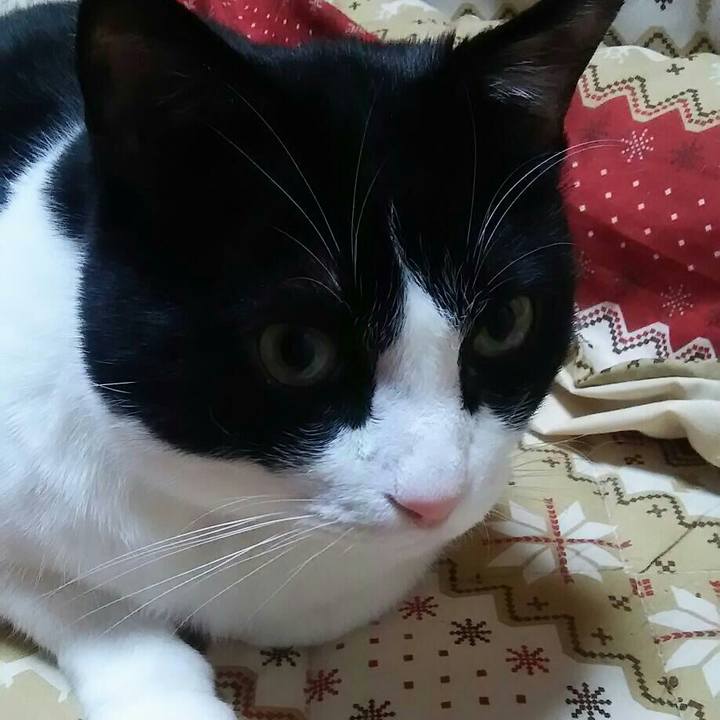 4e4d5c87 92a3 4623 82d8 47b74134d0af