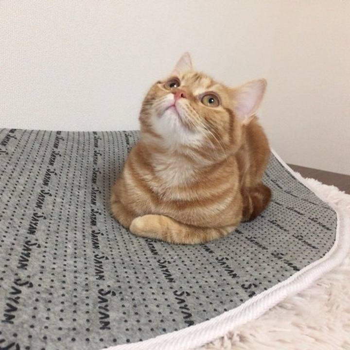 4e4d7352 f2f3 4982 b5a5 7166964e956a