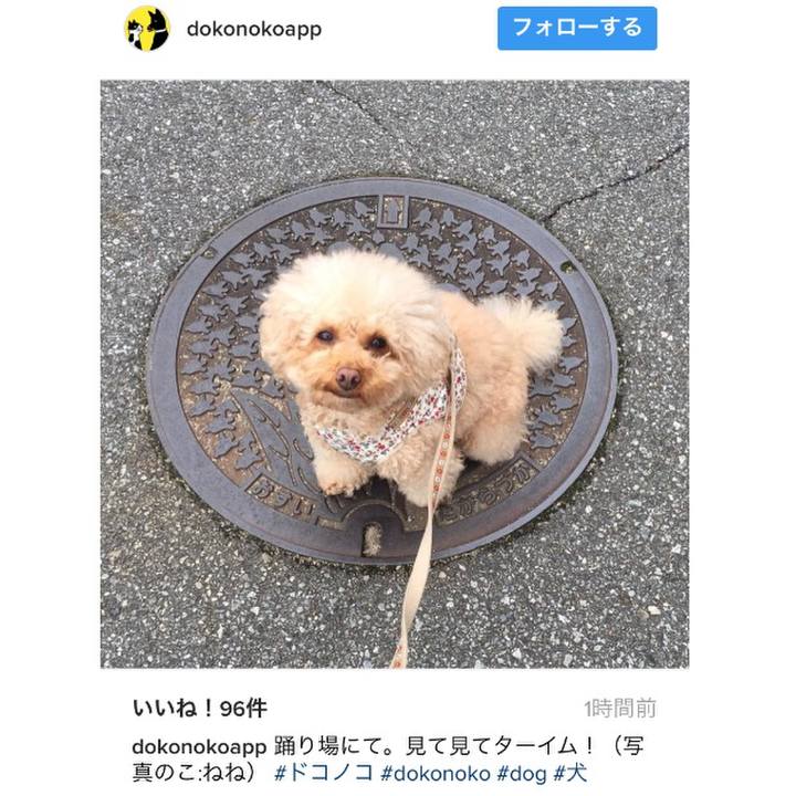 4e4d850d b49d 4b04 ba6a 19f4baf407a7