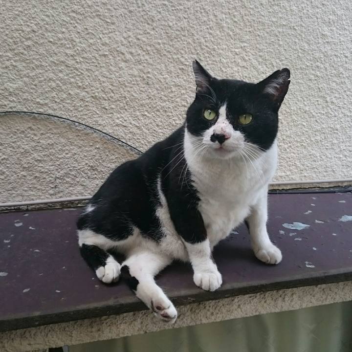 4e4e6f8b 4e9a 4a7c b79b 41454a8bd6aa