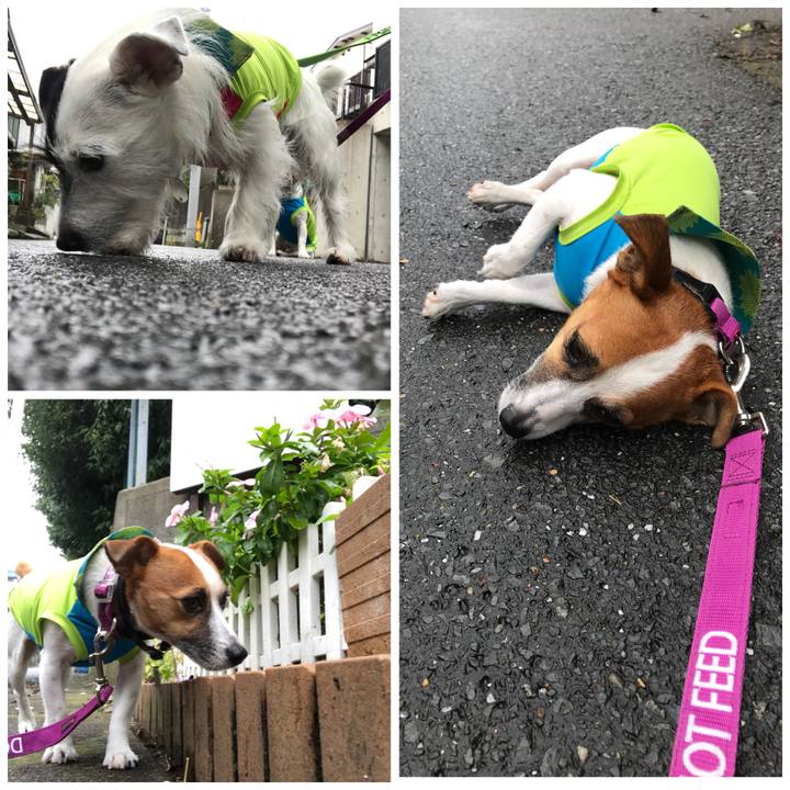 4e4e8e89 4a9d 4566 b3ef 051491e31784