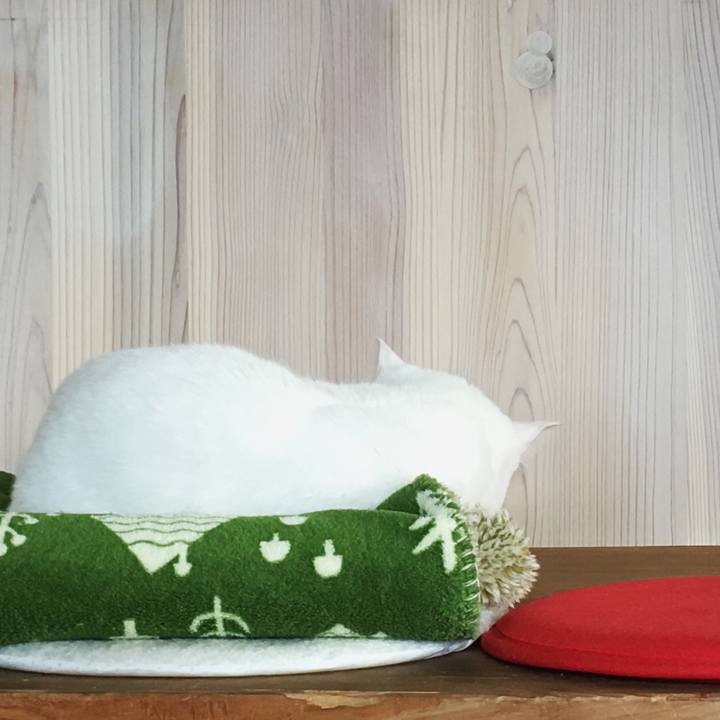 4e4e9fb2 fcf9 4812 a6f6 76086daa402b