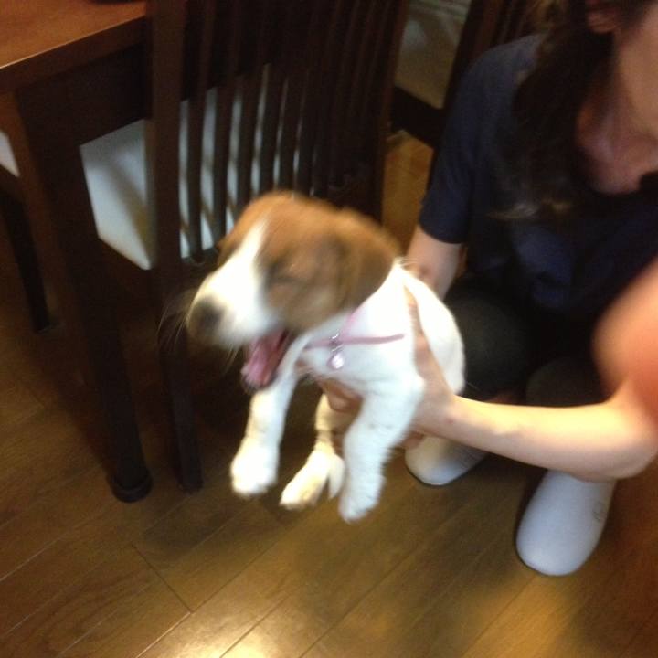 4e4ebd75 3db5 4f4b 854f dd2060db30b0