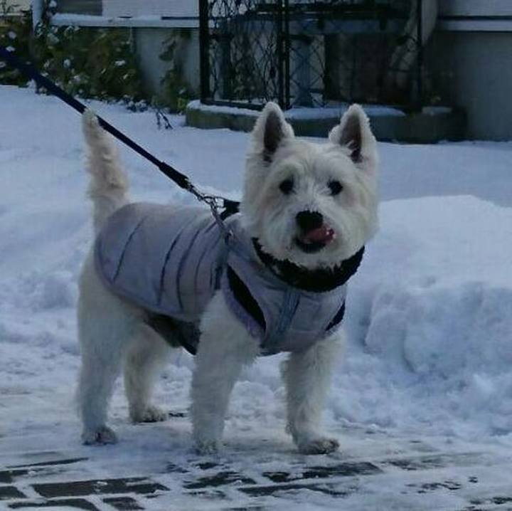 4e4ed6bb 9d85 4f62 a5fe bdb14e032a73