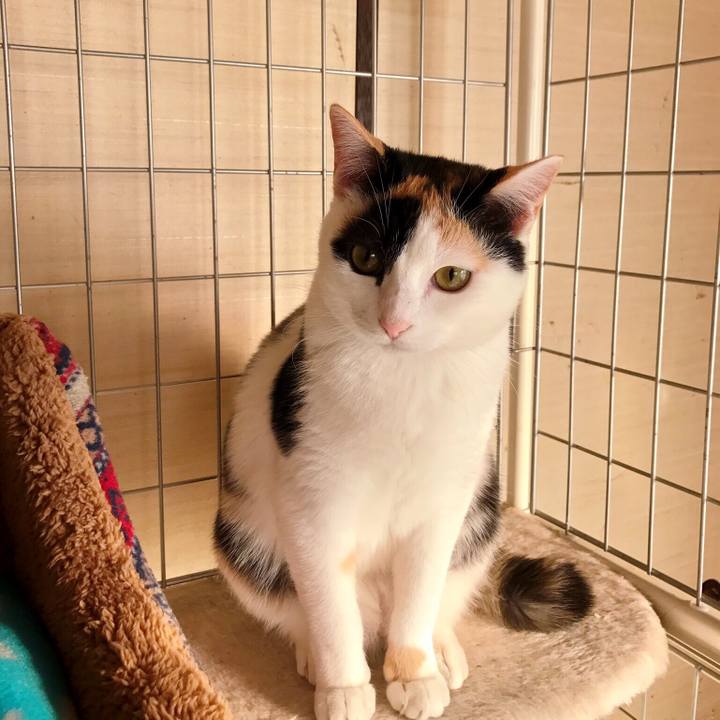 4e4eece7 1f8b 4842 b8d4 e81ad6860417