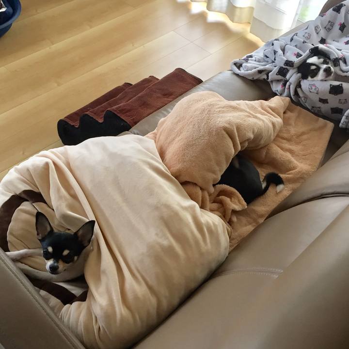 4e4f7244 68eb 42f1 8aa7 db59bc719f76