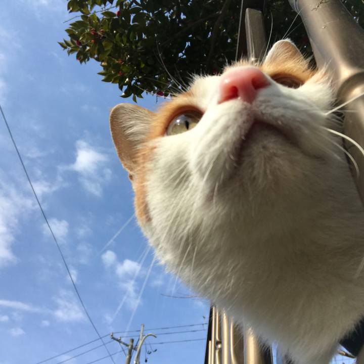 4e4f8b03 90c4 4129 9b13 99a40dd333b4