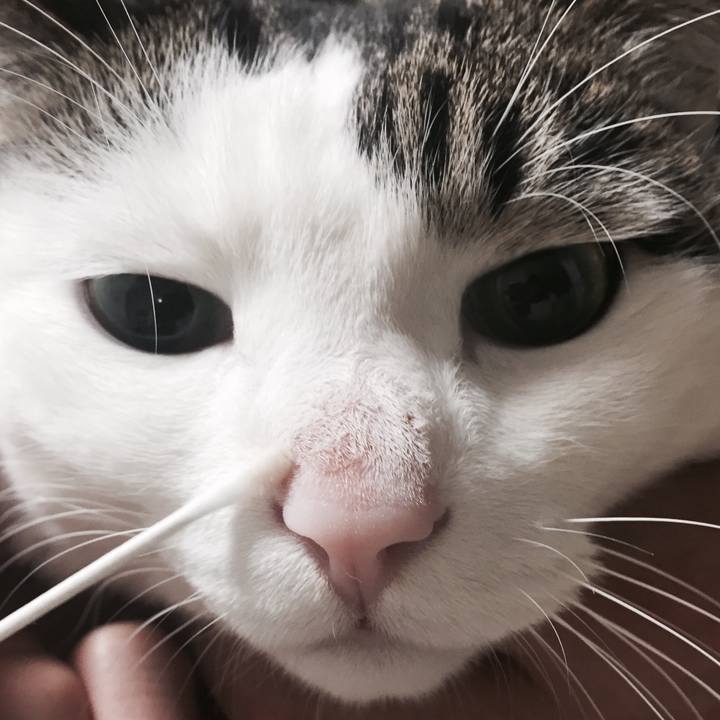 4e503f1a d03b 4d0d a5c7 449b745e1700