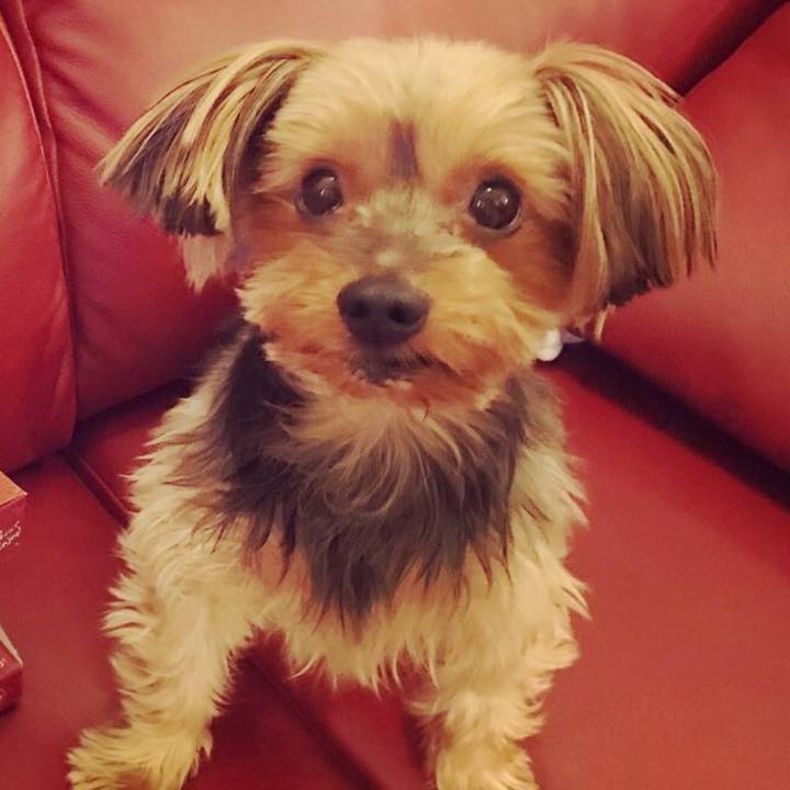 4e503f49 4b42 4e77 b47a 107850b9f790