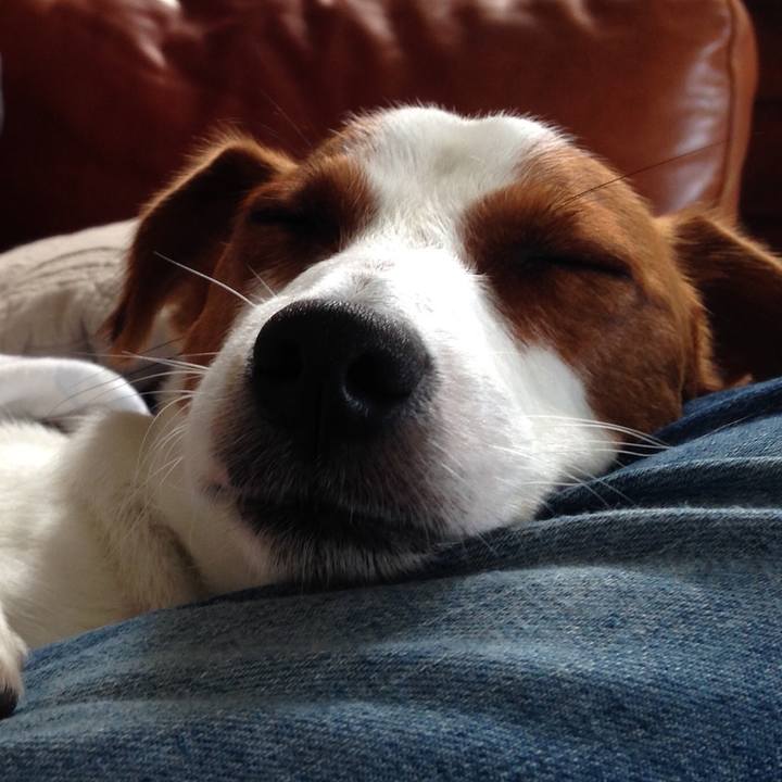 4e51475c 8fc7 4199 972c e0f39f1d530d