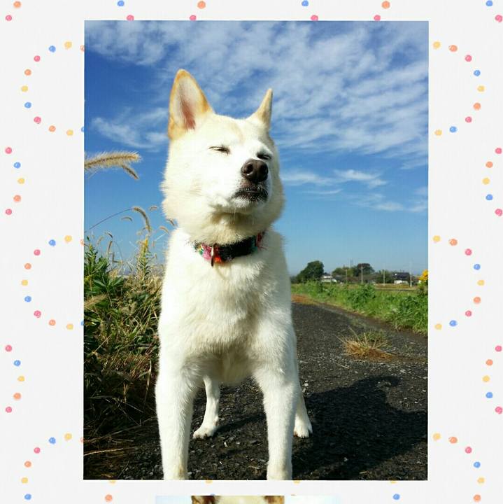 4e516920 9f63 44eb b286 ae4ccce18976