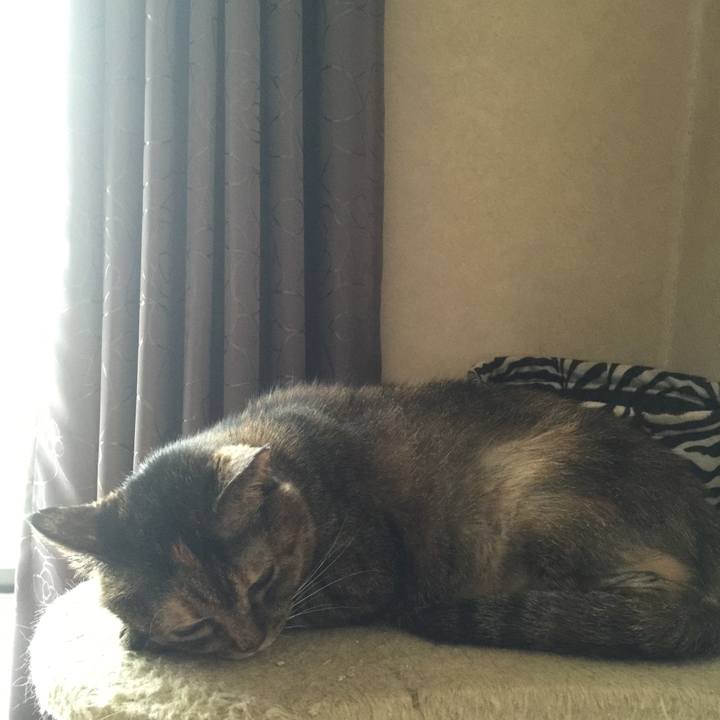 4e51818e 70d6 4168 a37f 9ba0d1b236b5